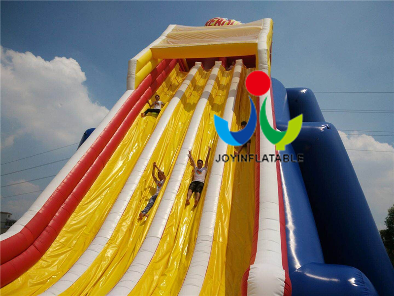 JOY inflatable Giant  Size Outdoor Playground Inflatable Water Slides For Adults Inflatable water slide image6