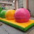 bridge inflatable lake trampoline personalized for children